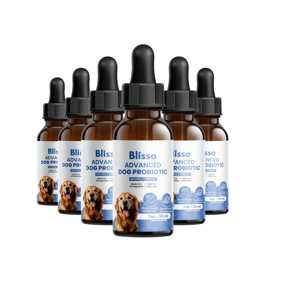 6x Blisso Advanced Dog Probiotic | Dog Probiotic for Gut & Immune Health