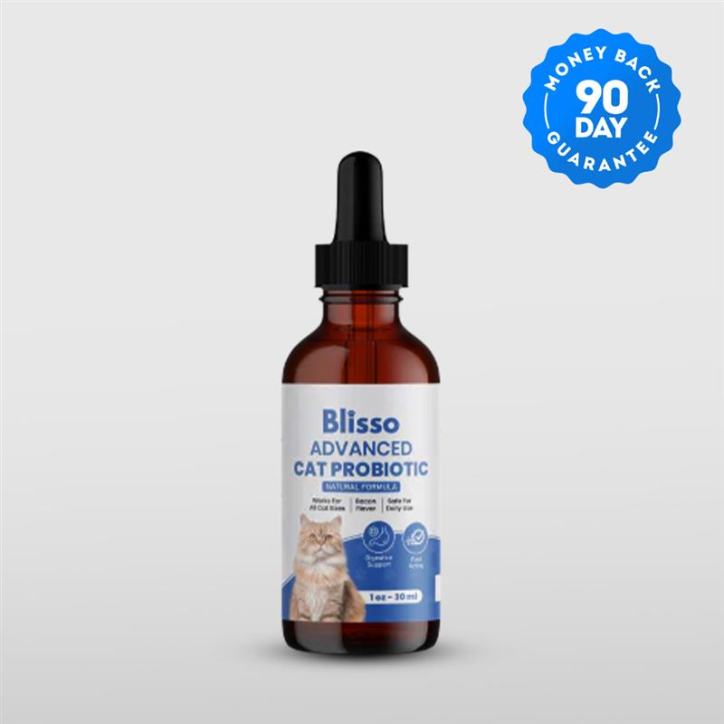 Special Offer - Blisso Advanced Cat Probiotic