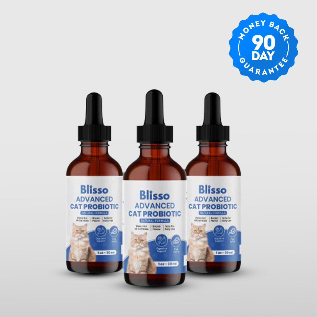 Special Offer - Blisso Advanced Cat Probiotic