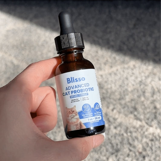 1x Blisso Advanced Cat Probiotic
