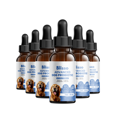 6x Blisso Advanced Dog Probiotic | Dog Probiotic for Gut & Immune Health