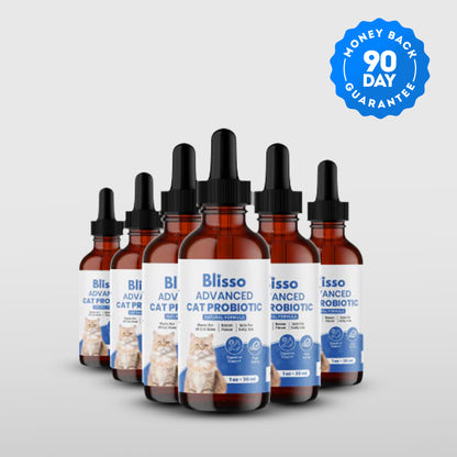 6x Blisso Advanced Cat Probiotic | Cat Probiotic for Diarrhea & Kidney Support
