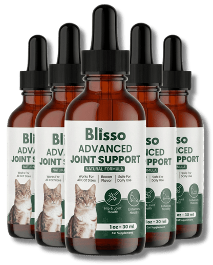6x Blisso Advanced Joint Support