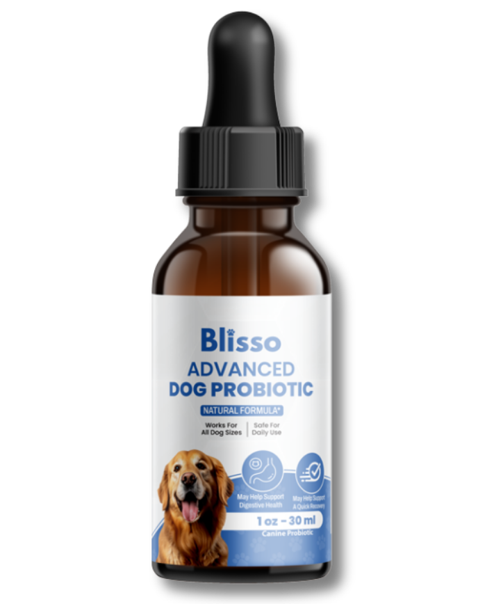 1x Blisso Advanced Dog Probiotic