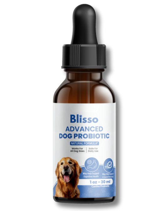 1x Blisso Advanced Dog Probiotic